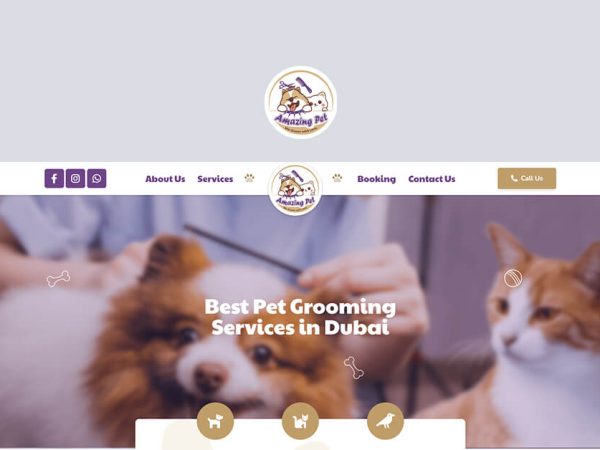 Web Design- تصميم مواقع- تطوير مواقع- صالون متنقل أميزنج بيت
