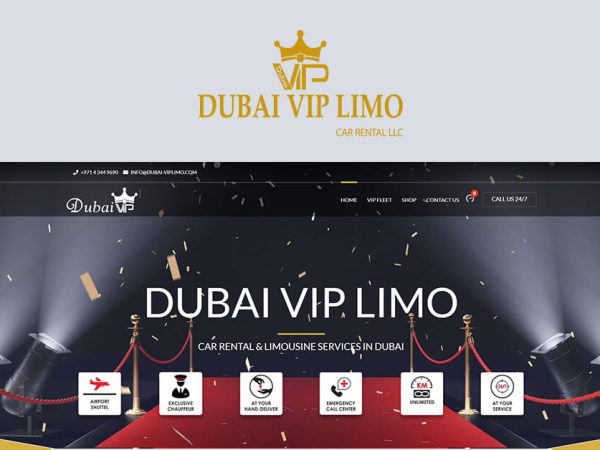 Web Design- تصميم مواقع- تطوير مواقع- دبي في اي بي ليموزين